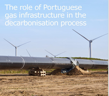 Role of gas in Portugal